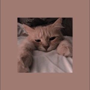 Meet your Posher, Ximena